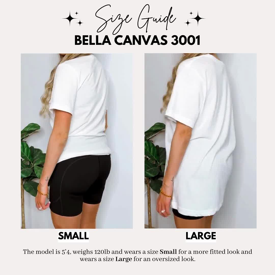 Camiseta "Silly Goose on the Loose": una divertida camiseta bohemia de granja con un gráfico de ganso caprichoso, diseño cottagecore para amantes de los animales y un regalo divertido. video poster