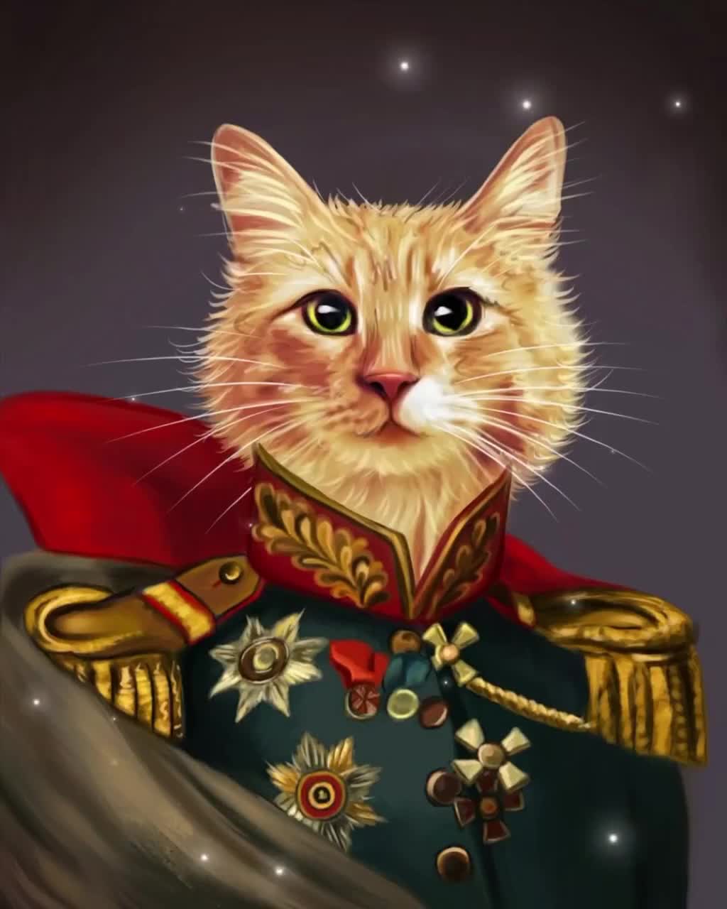 Custom Renaissance Pet Portrait: Regal Funny Gift video poster