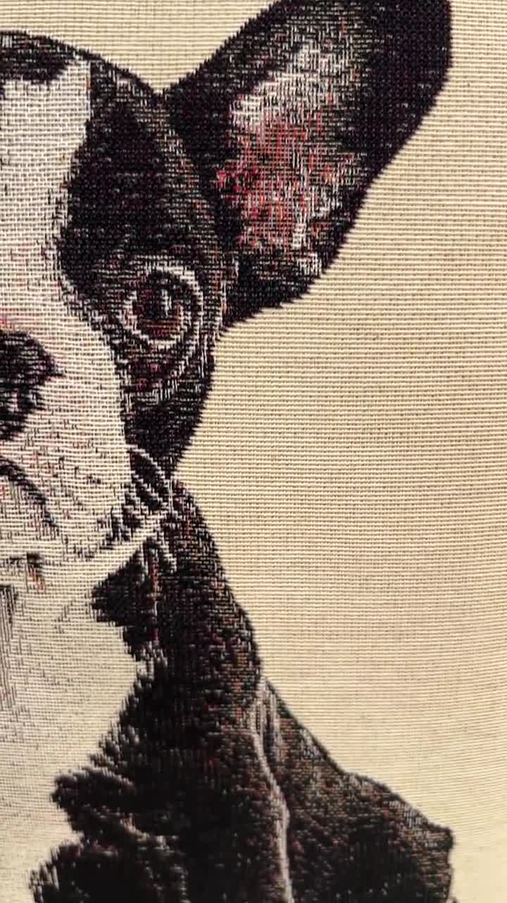 BAGEYOU Federa per cuscino personalizzata con cane a pois carino con sbirciare bufalo a scacchi scozzesi