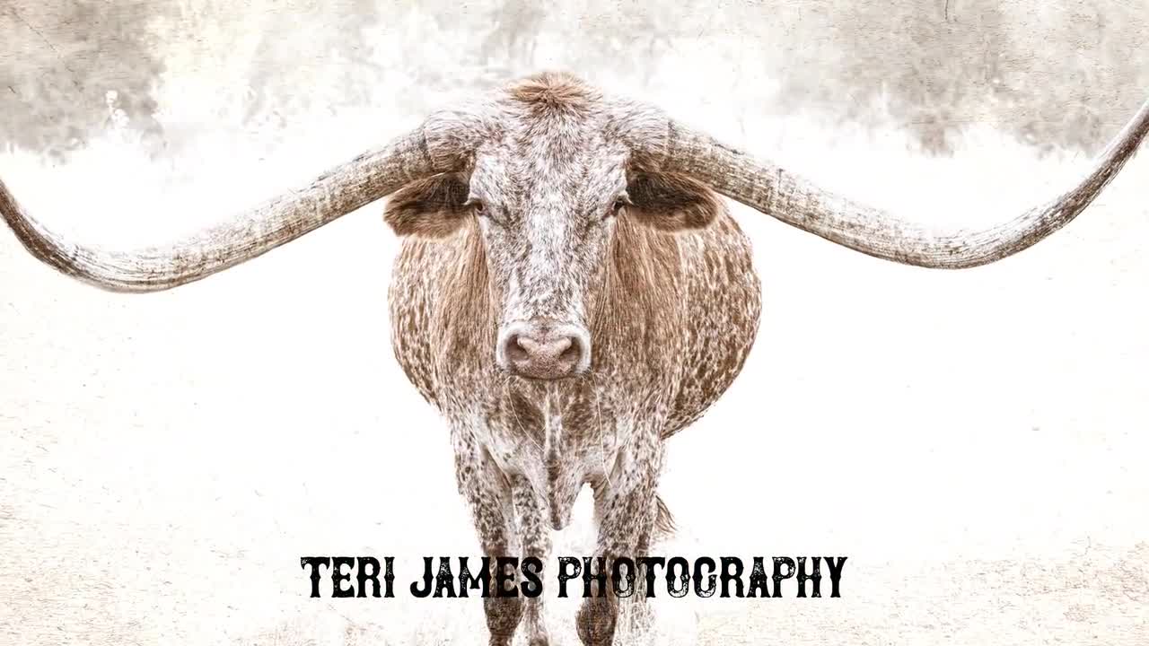 Texas Longhorn Watercolor Canvas - Teri James Photography