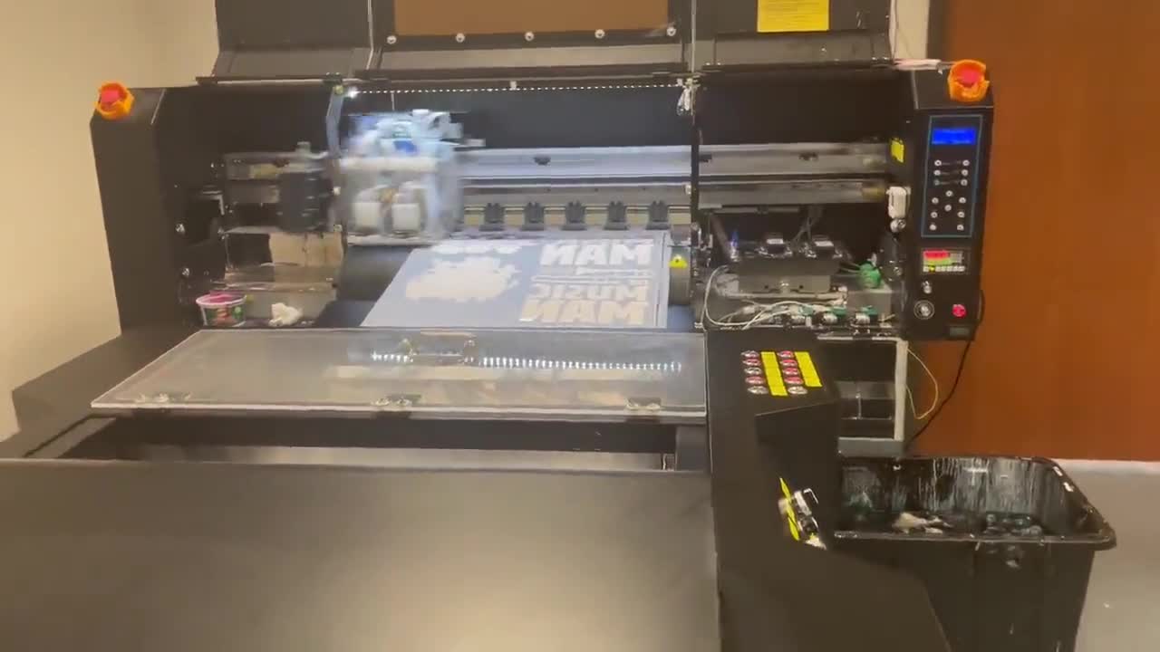 Coquette Bows Watercolor Disney Frozen Shirt, Elsa Princess Tee, Elsa Coquette Shirt, Magic Kingdom Disneyland Family Trip, Princess Shirt video poster