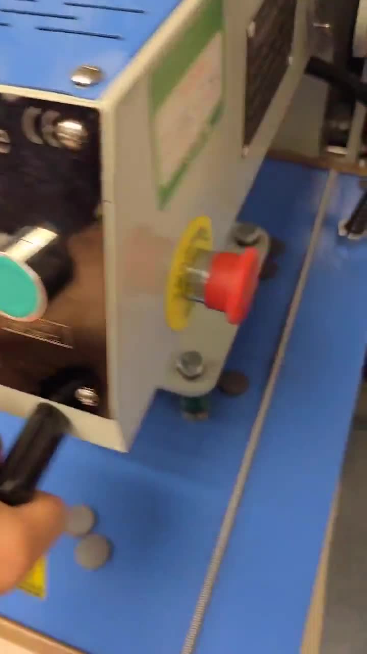 Camiseta personalizada de Minnie Mouse para su 50.º cumpleaños, sudadera personalizada de la Reina del Cumpleaños de Disney, camiseta mágica para fiesta de cincuenta años video poster