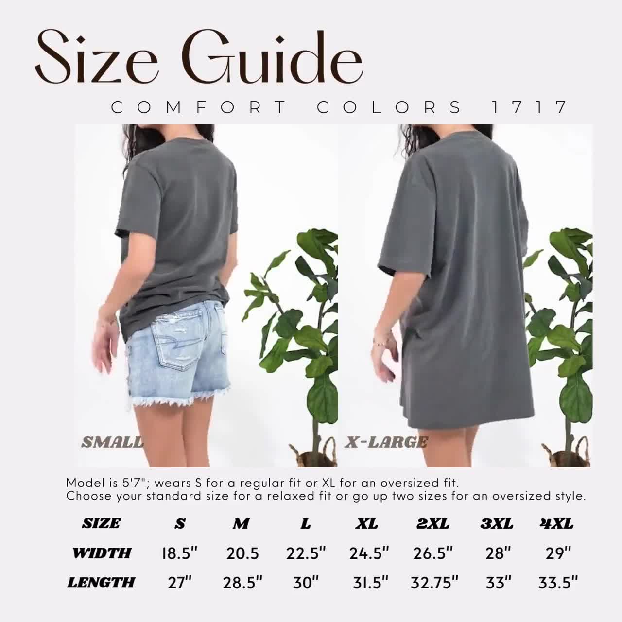 Coquette Disney Toy Story You've Got A Friend Sweatshirt, Bow Jessie Woody Buzz Top, Disneyland Trip Memory Shirt, Family Match Gift T-Shirt video poster