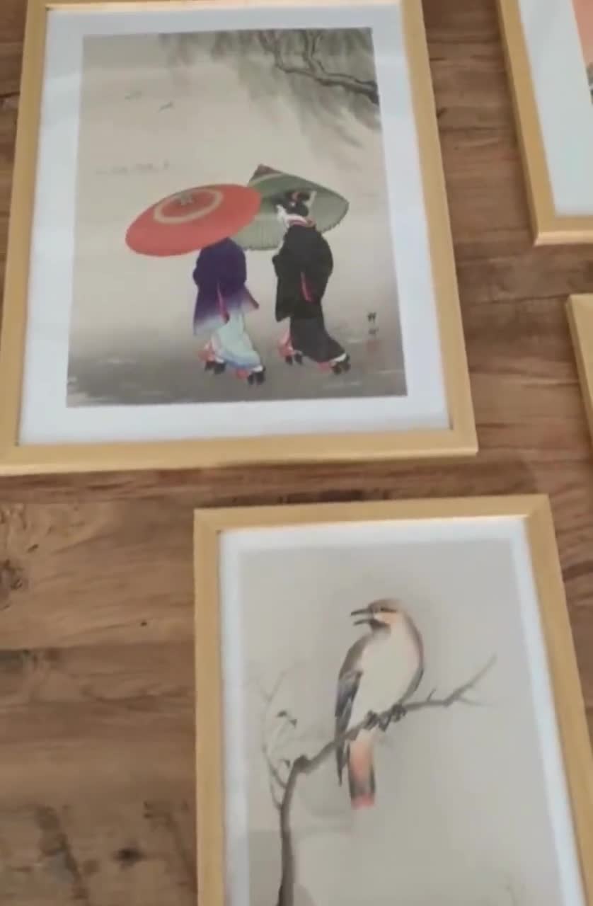 Framed Japanese Peacock Art Gallery Wall Set - Vintage Asian Decor