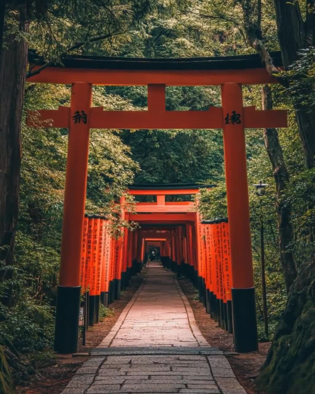 京都伏見稲荷大社アートプリント、日本、赤い鳥居 - Etsy 日本