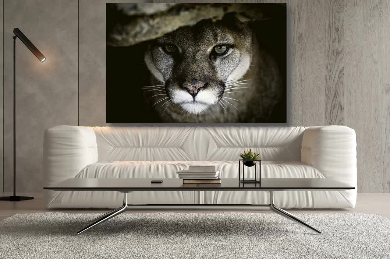 Framed Puma Canvas Print: Big Cat Wall Art - Etsy