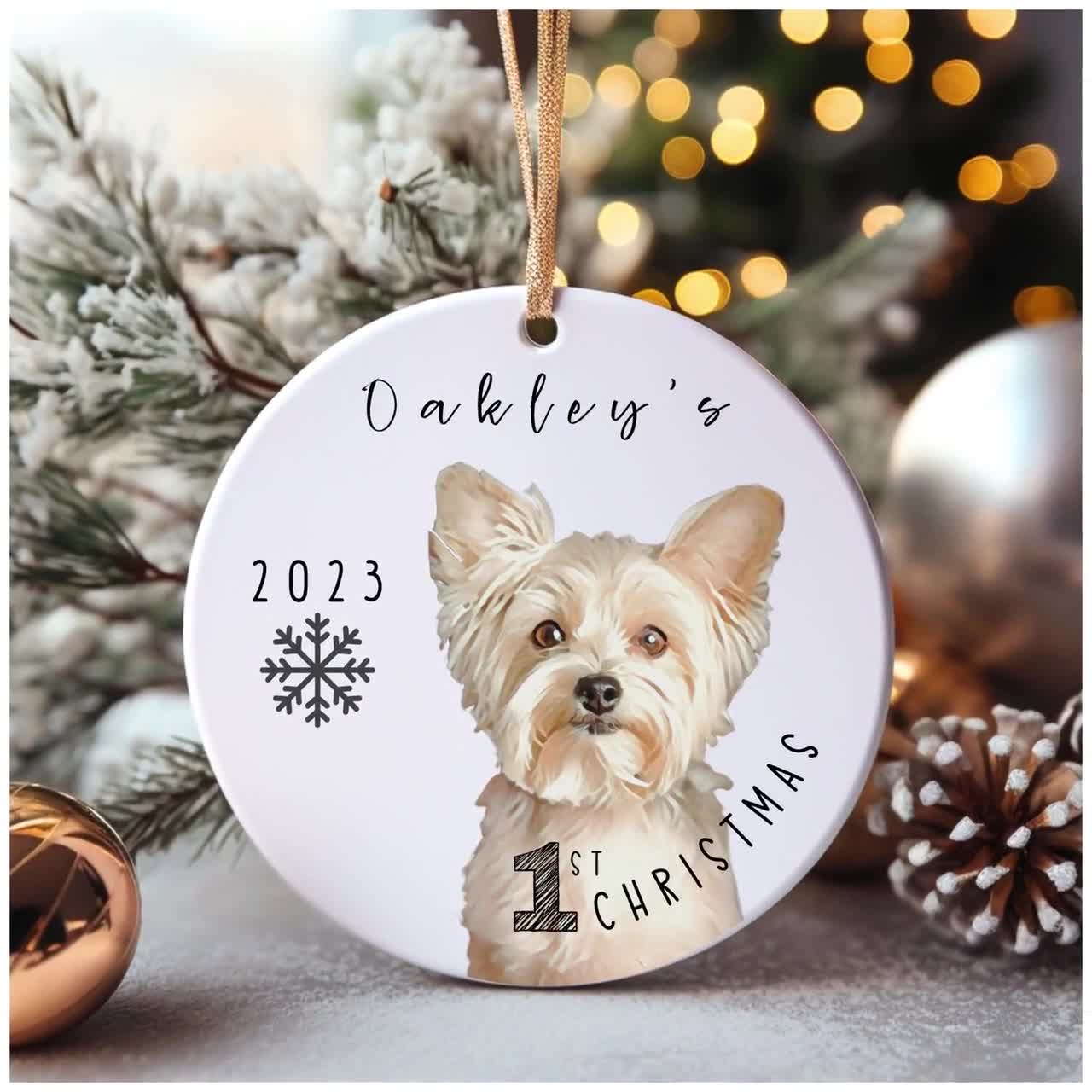 Christmas Gifts for Dogs 2023