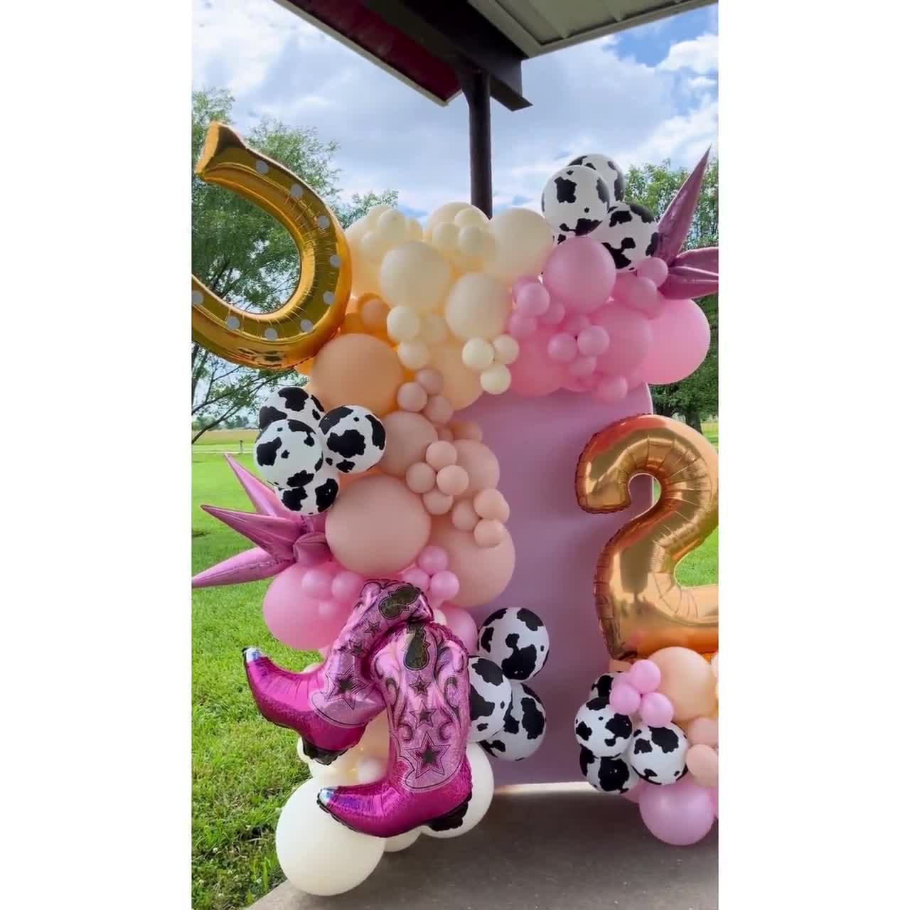 Pink Cow Birthday Balloons Arch Kit,4 Ever Moody Birthday Decorations...