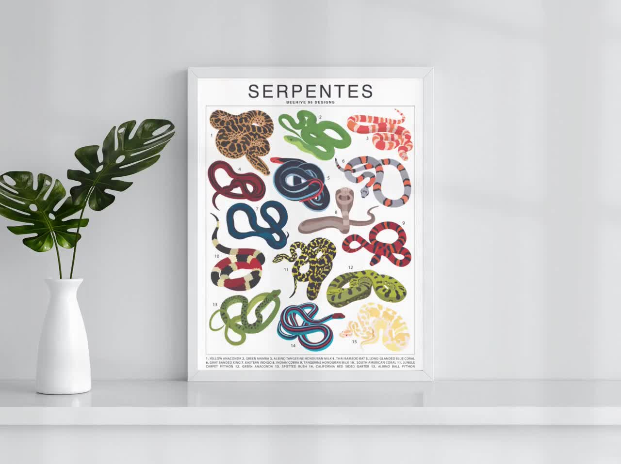 Beehive95Designs Serpentes Snake Species Varieties ID T-Shirt, Reptile Serpent Tee, Snake Lover Gift, Nature Wildlife Graphic Tee, Exotic Jungle