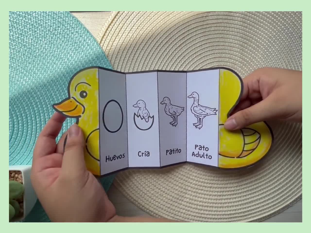 ESPAÑOL Ciclo de vida de un pato / Manualidad de ciclo de vida plegable /  Manualidades científicas / Descarga digital / Aprendizaje para niños  Montessori / A4 y 11x8.5 pulgadas, image size:1280x958