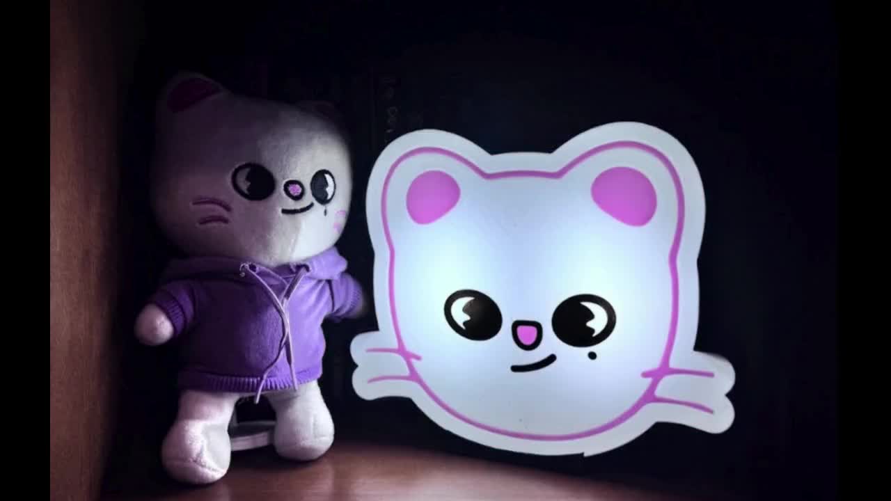 Stray Kids SKZOO Lightbox, SKZ Member Lamp, Nightlight, Light - Etsy