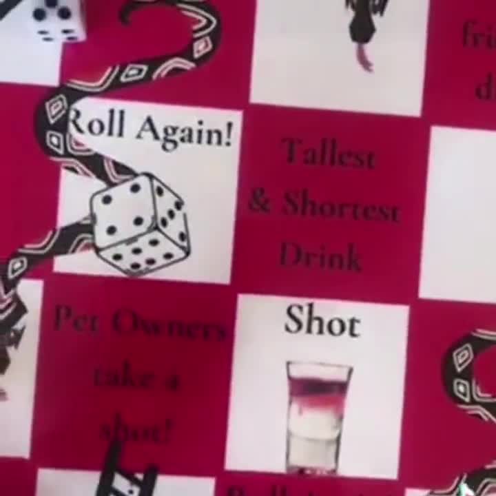 THE TWIDDLERS Funnels & Ladders - Party Drinking Game for Adults