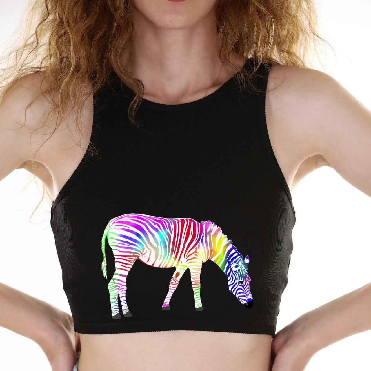 Colorful Zebra Art African Animal Downloadable in SVG and PNG