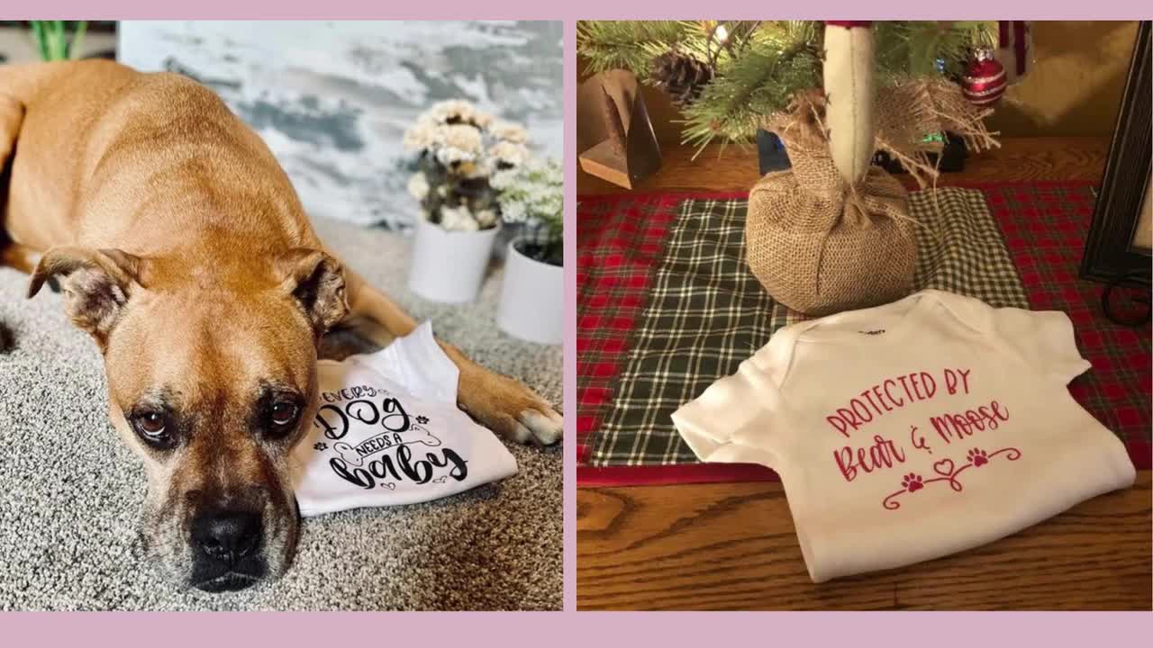 Avrei dovuto essere un altro cane, My Siblings Have Paws Baby Gift, Amante  dei cani per ragazzo o ragazza, Ogni cane ha bisogno di un bambino,  Cuccioli -  Italia