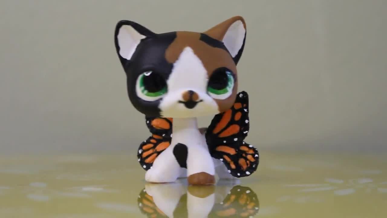 Lps Monarch Calico Cat Custom