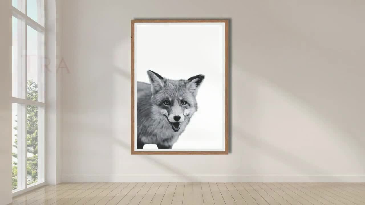 面白いキツネの顔写真：モノクロの動物プリントアート - Etsy 日本