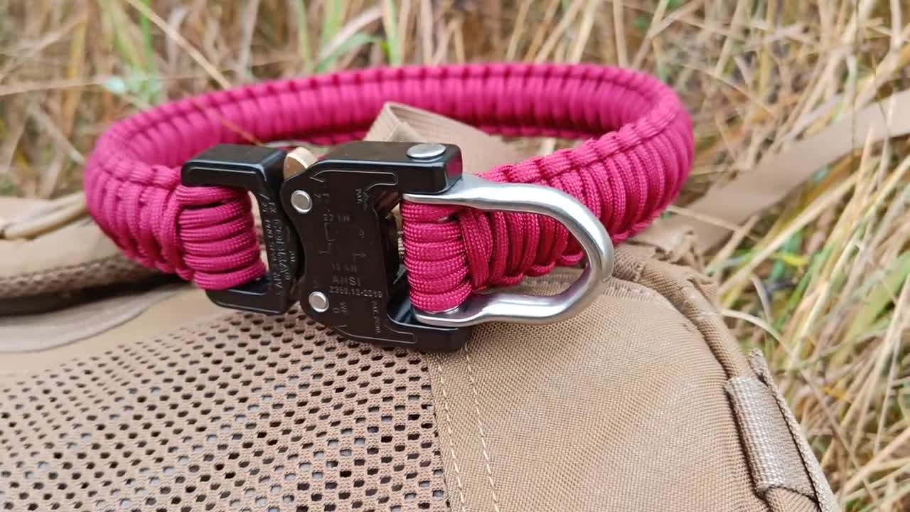Heavy Duty Paracord Dog Collar With AustriAlpin Cobra Buckle, Thick Durable  Collar For Medium Large Dog, Wide … in 2024