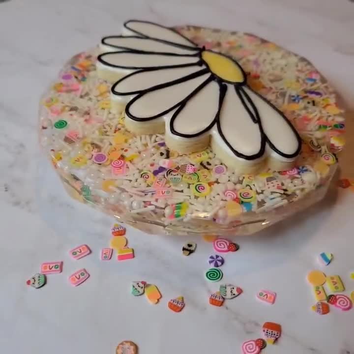 VINTAGE DREAM SPRINKLE Magnetic Cookie Turntable