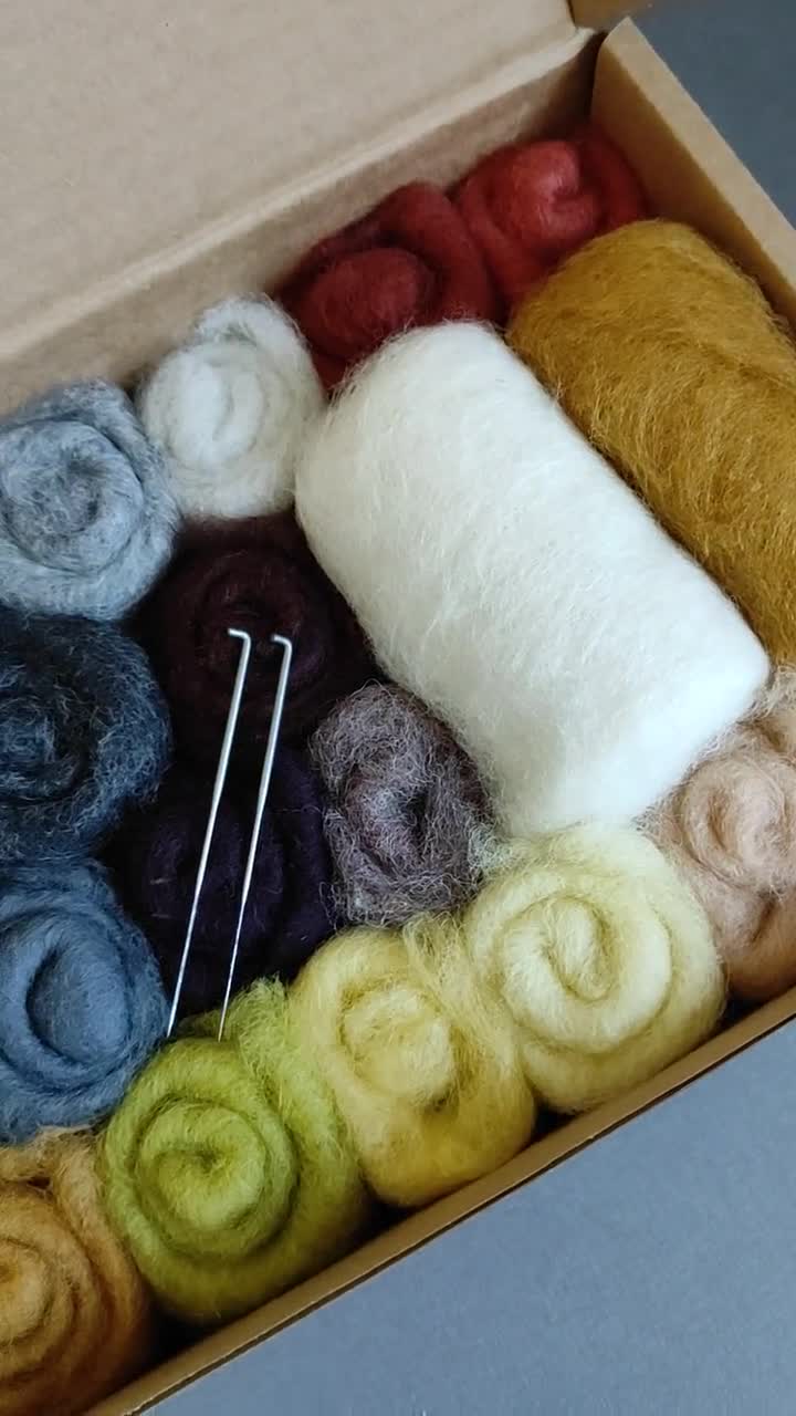 FAMCUCHE Kit Infeltrimento Ad Ago Per Principianti: 6 Set Con Lana Vera, Aghi, Cuscinetto E Tutorial Per Creare Cagnolini E Gattini - 3