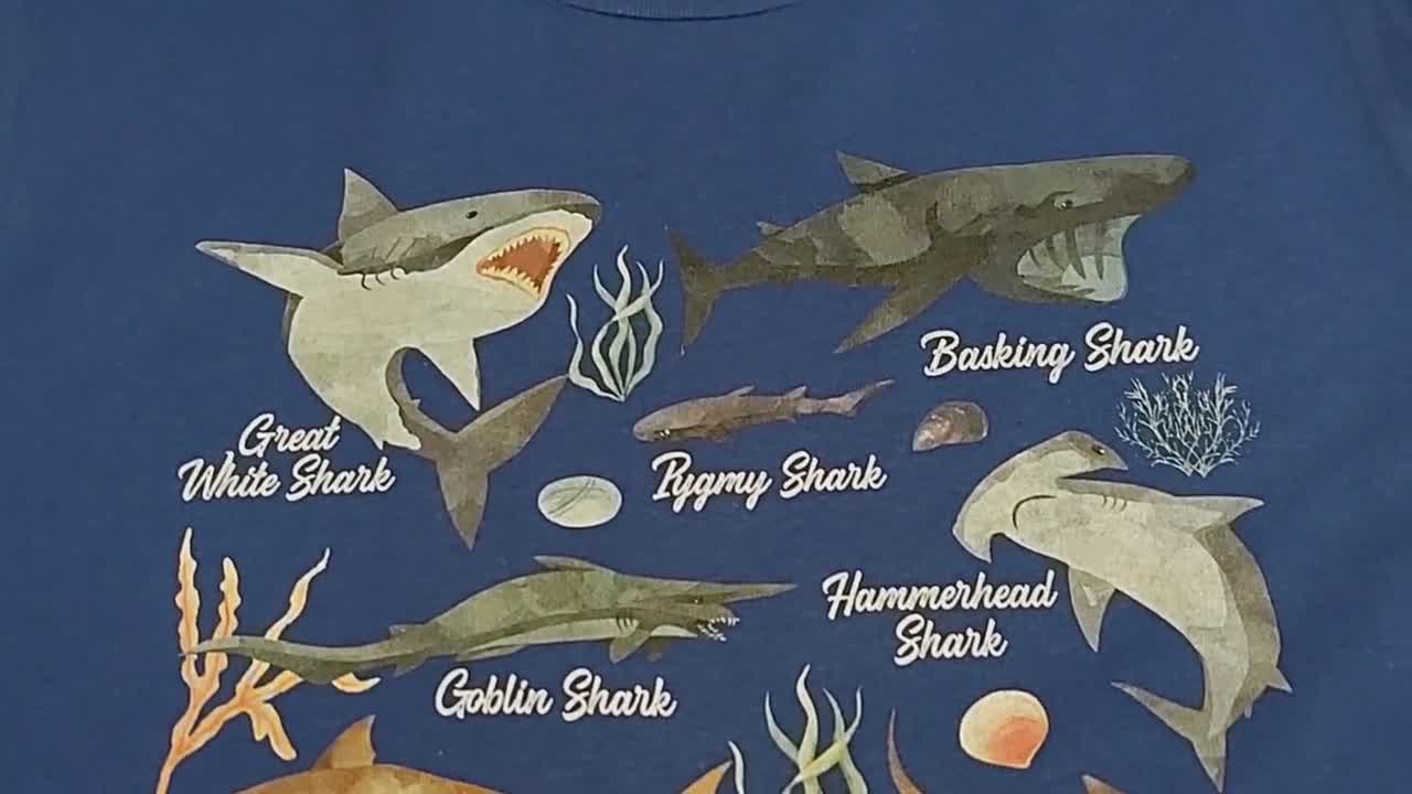 Disfraz tipo pijama tiburón para parejas 25,99 €