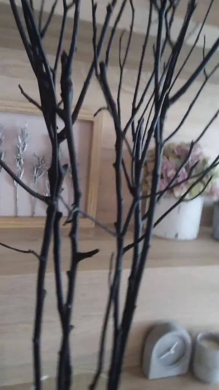 Black Painted Long Tree Branches Tall Natural Wood Twigs for Floor Vase  Modern Minimalist Contemporary Home Decor Halloween Room Decorating 