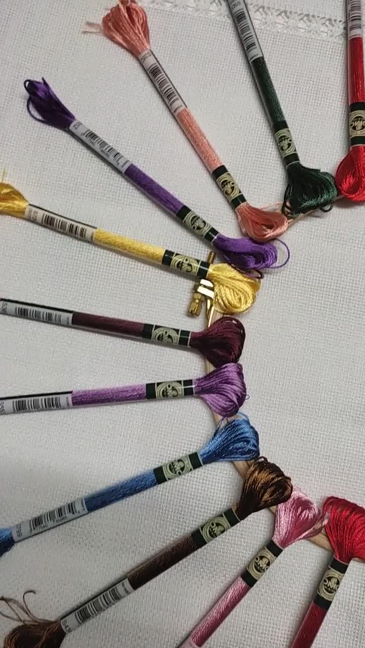 21x DMC Brown Shades, Dmc Floss, DMC Kit, Dmc Threads, Dmc Cotton Floss,  Dmc Embroidery Floss, Dmc Satin Floss, Cross Stitch Floss 