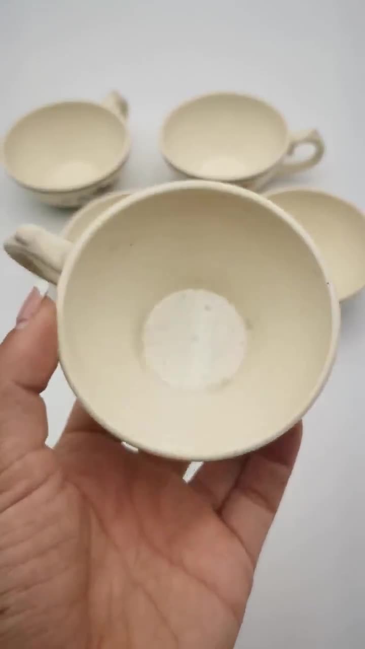 Tazza tazza di vetro a doppia parete con conchiglie di lumaca di mare fiore  secco ripieni di glitter