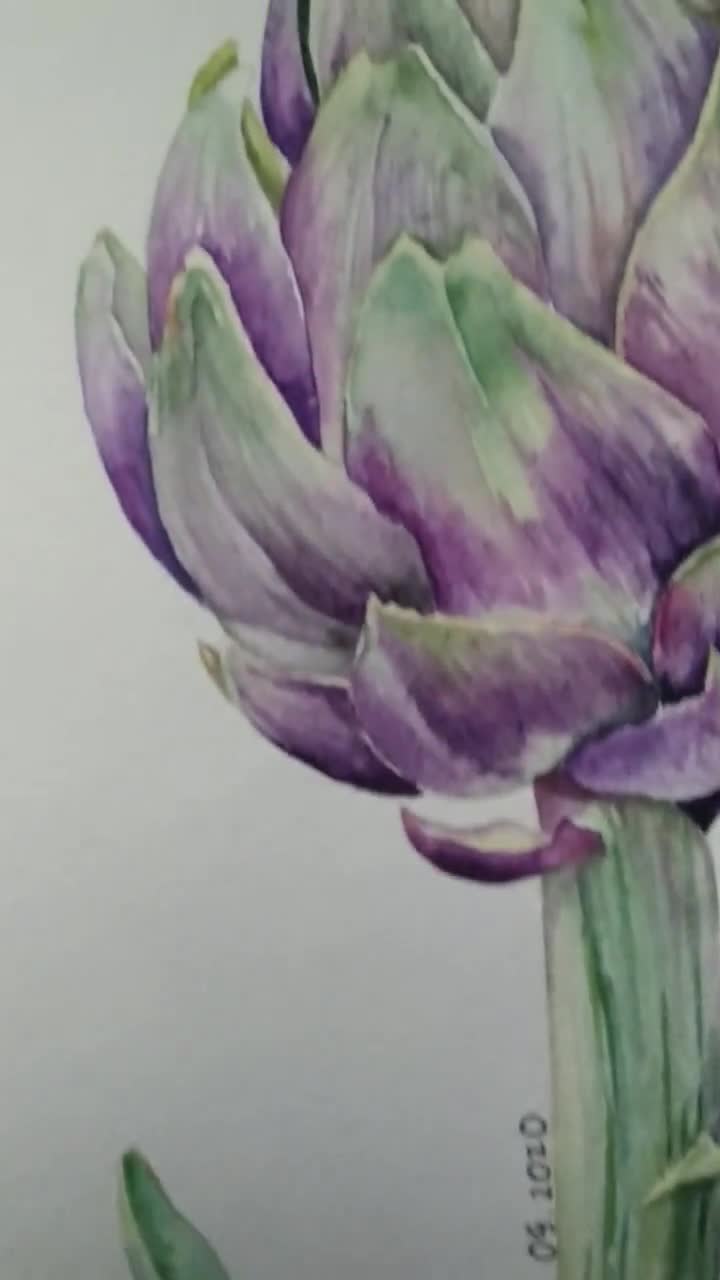 水彩画　「あっ、ちょっ、お…」 038 透明水彩お散歩ミニスケッチ「紫陽花咲くせせらぎにて