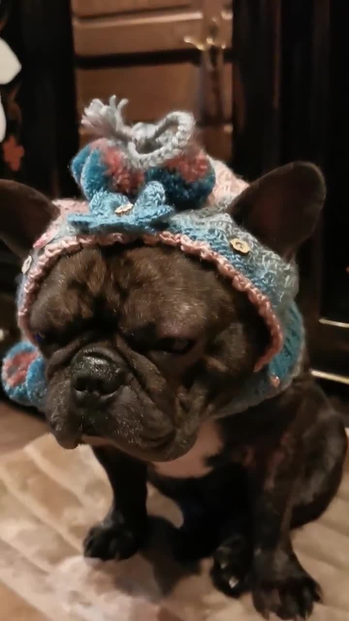 Gorro de duendecillo/sombrero bufanda con pequeños pompones, flores de  ganchillo tejidas a mano para perros de tamaño mediano/bulldog francés/pug,  etc.