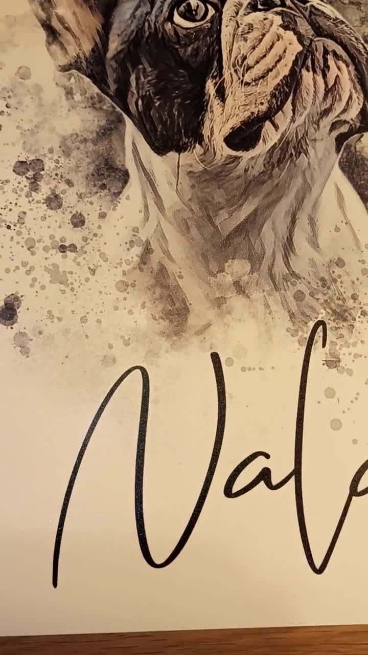 Retrato de gato "AQUARELL" personalizado con nombre / Retrato de animal por foto / Ilustración individual para amantes de los gatos / Cartel de gato video poster