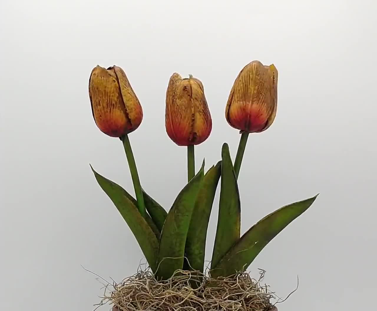 Set of 3 Primitive Grungy Real Feel Tulips 13, Artificial Flowers, Country  Primitive, Farmhouse Decor, Cottagecore, Spring Floral 