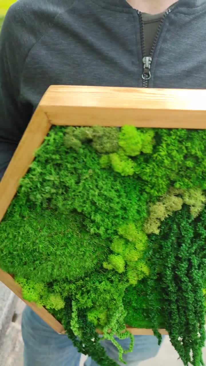 Wall moss art, Wooden honeycombs, Vertical garden, Preserved moss, Living  moss