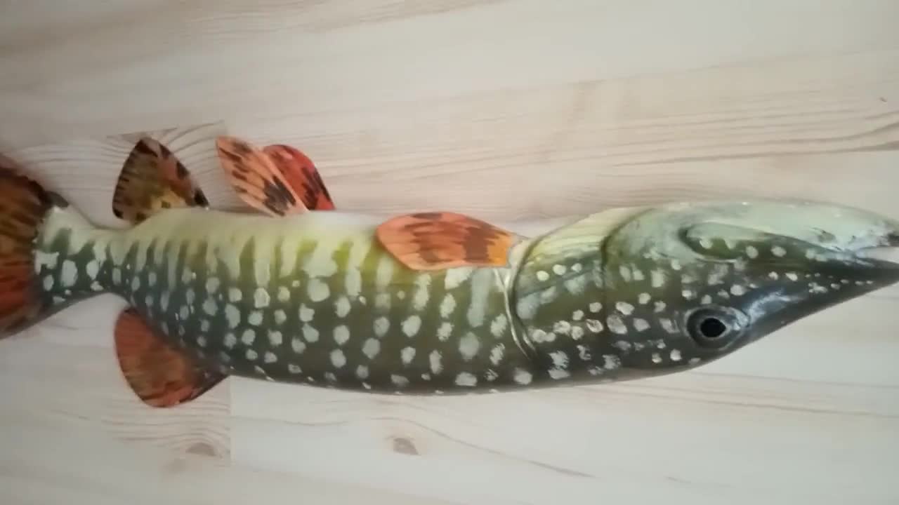 □美術品□Blue・ Esox Lucius□２３cm◇ Copen◇ Northern Pike, Esox Lucius, Pike, 31-35 Inches 3D Wall