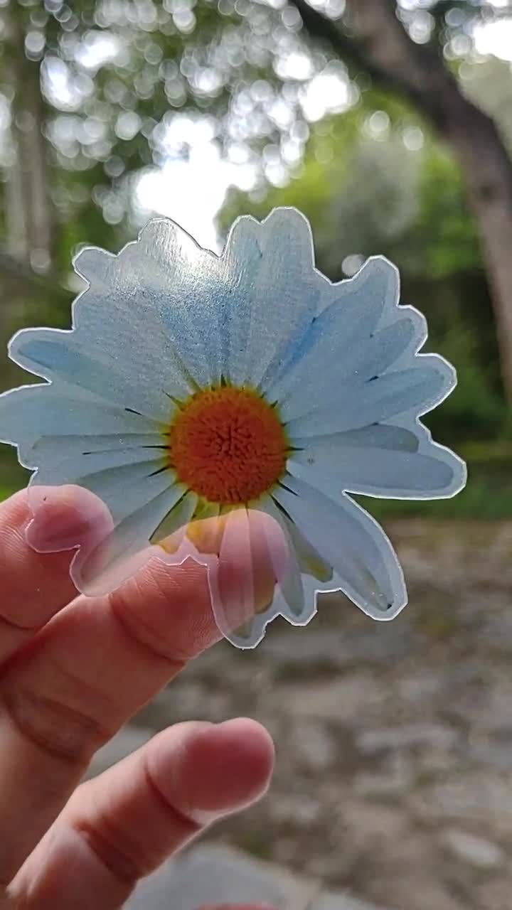 2 Sticker TRANSPARENT White Daisy Flower STICKER Waterproof Vinyl