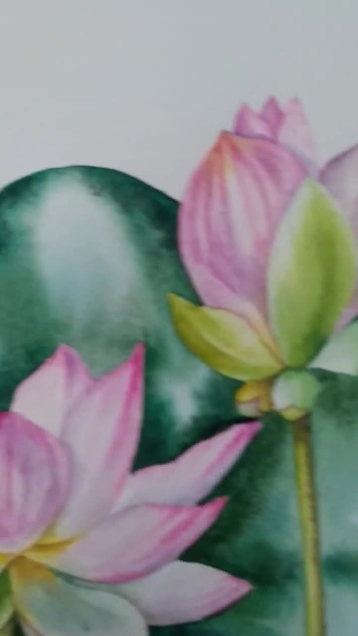 ORIGINAL watercolor painting, lotus painting, floral wall art, botanical  wall art, botanical painting, lotus wall art, water lily painting