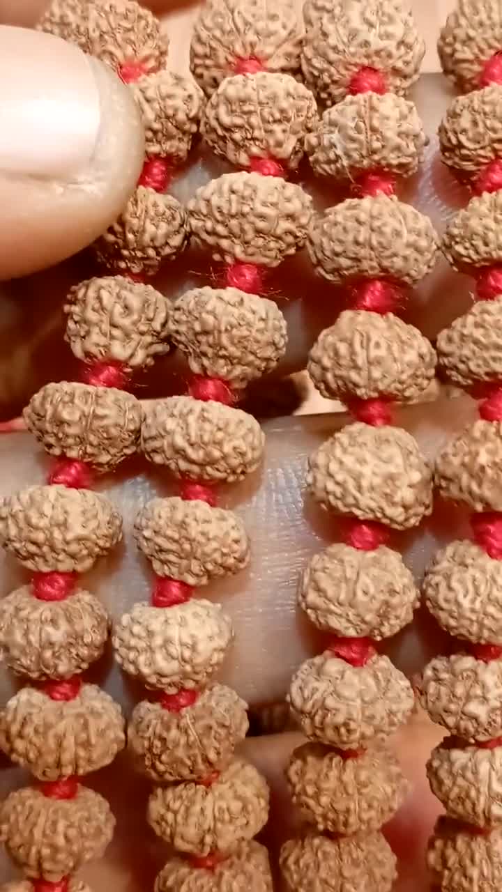 9 Mukhi Rudraksha Mala / Nine Face Rudraksh Rosary Java Lab