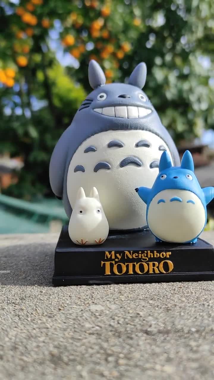 M Joy Decor Studio Ghibli My Neighbour Totoro Algeria