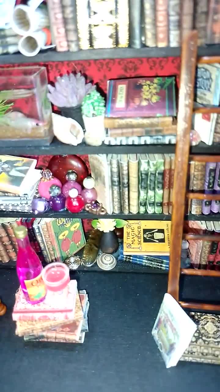 Coin livre de chambre miniature, diorama de salle de boîte, coin  bibliothèque go