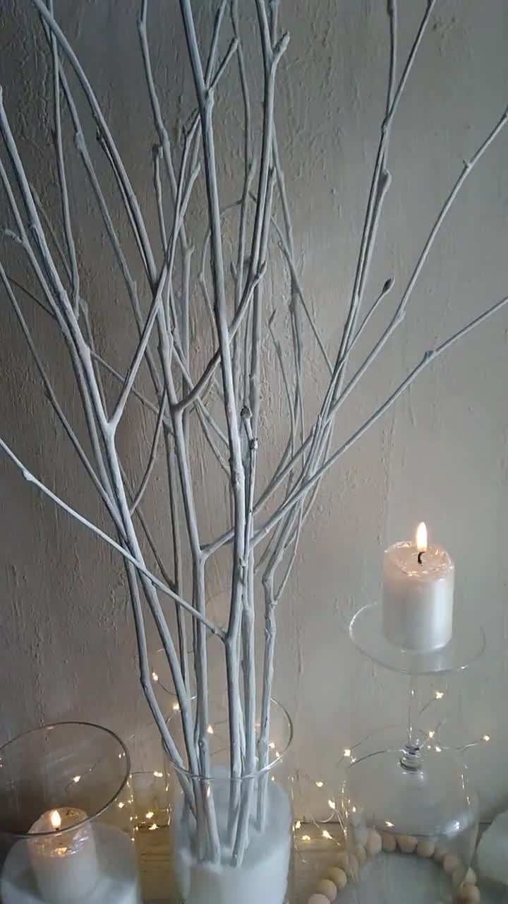 Tree Branches Painted White Grey Black Set of 12 Short Twigs 