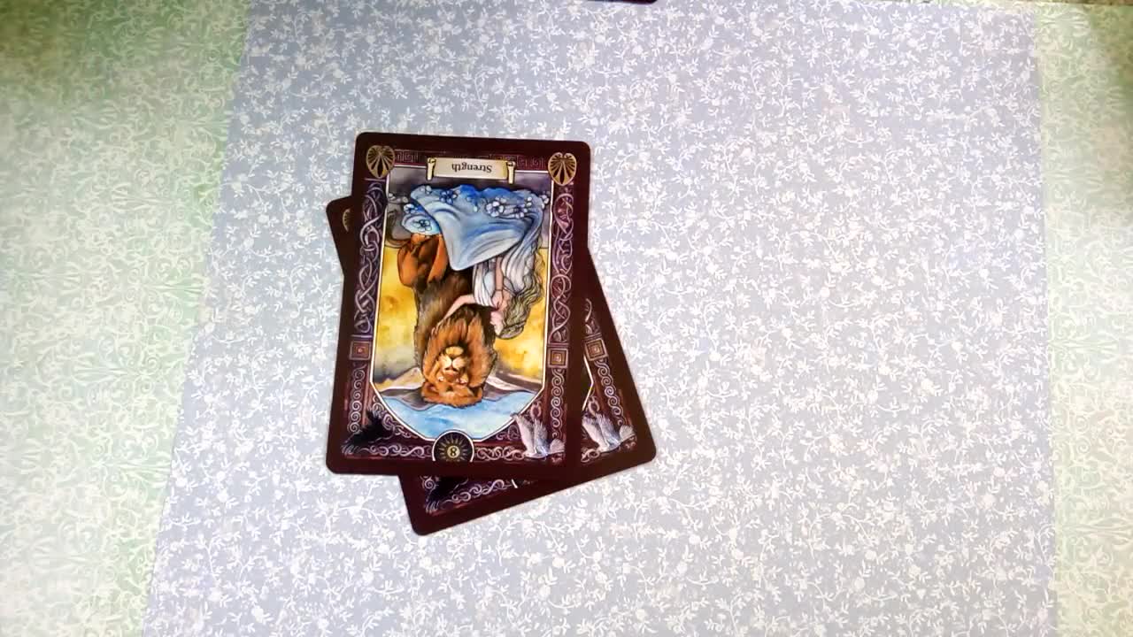 super lote 50 barajas cartas tarot y oraculos o - Compra venta en