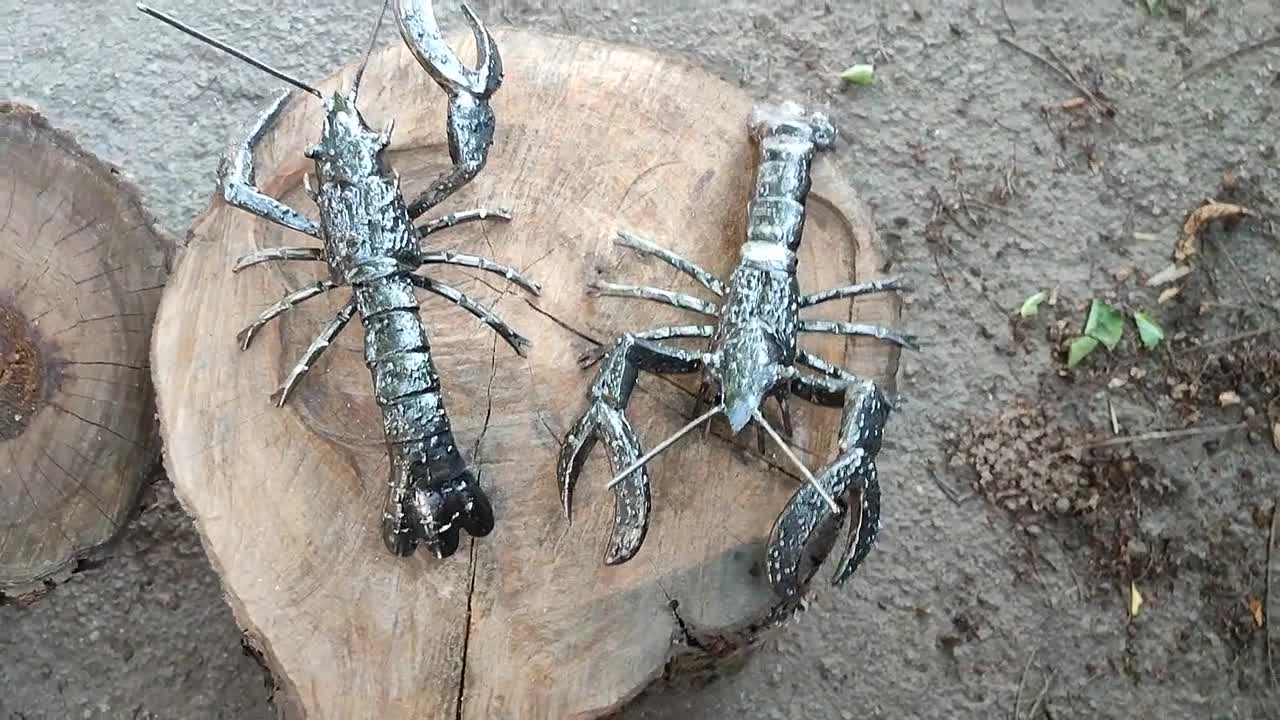 手鍛造の金属製ロブスター彫刻 – Rustic River Art - Etsy 日本