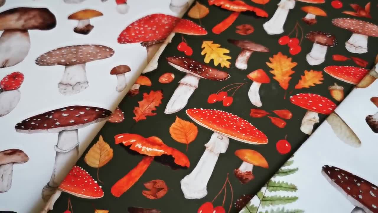 Mushroom wrapping paper found at IKEA : r/mycology