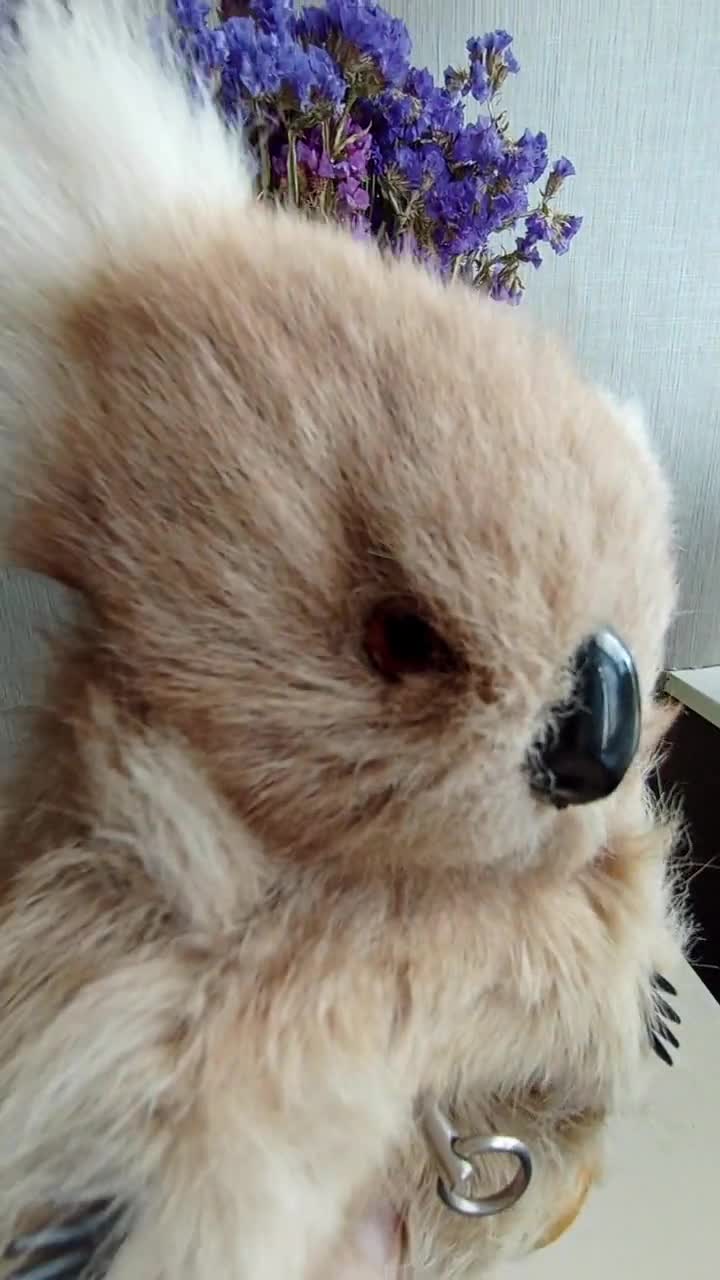 Vintage Musical Koala Bear Australia Souvenir Kangaroo Fur - Etsy