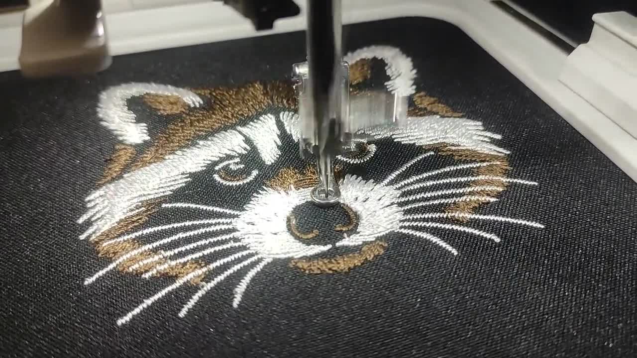 愛らしいアライグマの刺繍デザインバンドル - フィル＆クイック