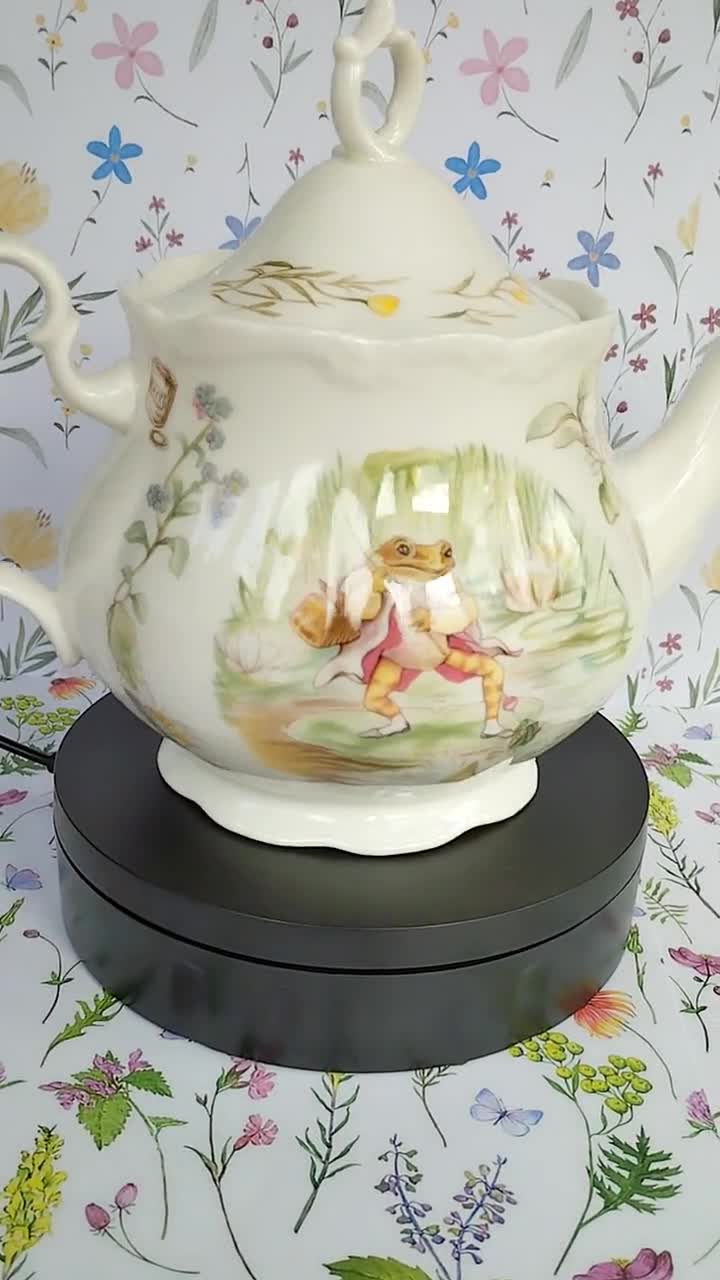 Very Rare Royal Albert Beatrix Potter Teapot - Jemima Puddle Duck 