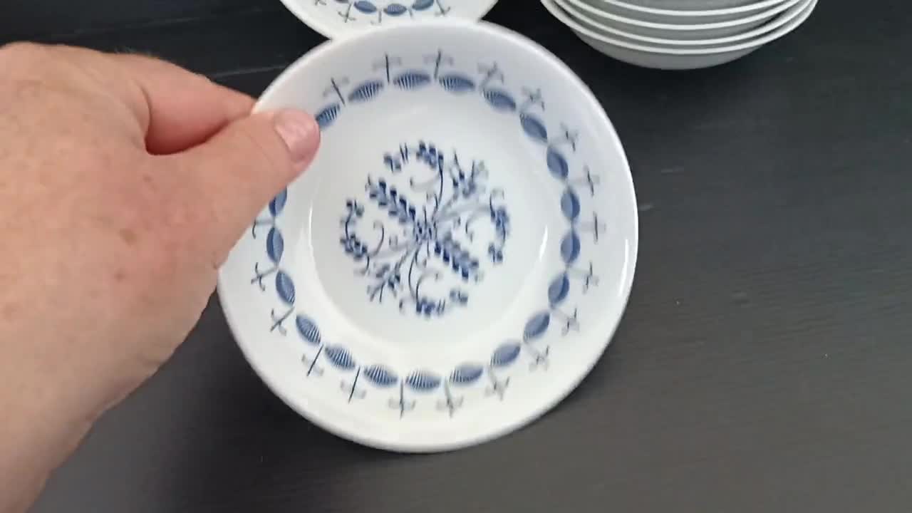 6 Collectible Bohemia Henriette 29043 Serie Deep Plate, Vintage