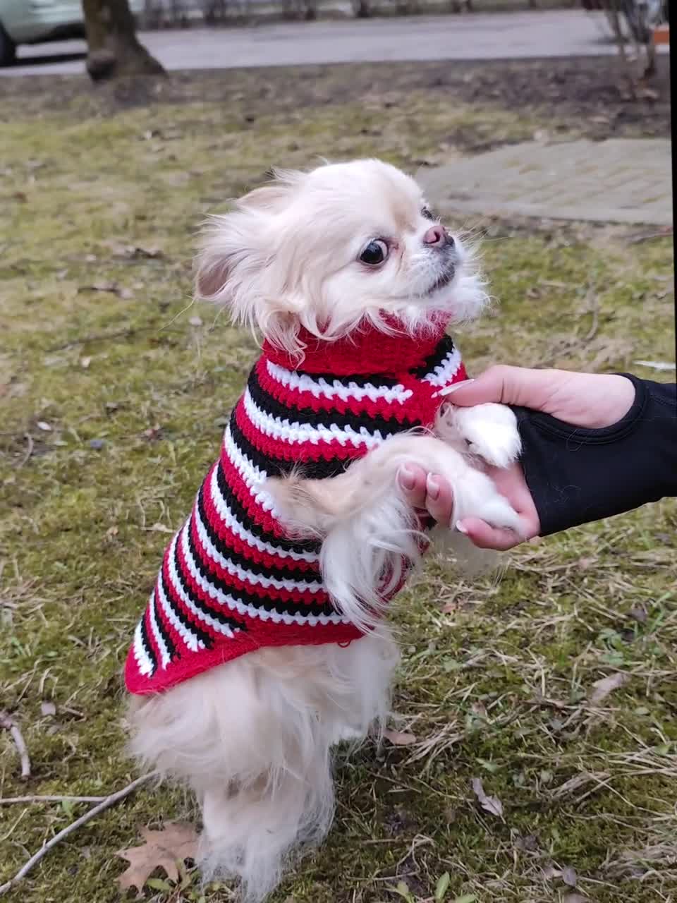 かぎ針編みの犬用セーターのパターン、ペットの服、小型犬用の犬用服