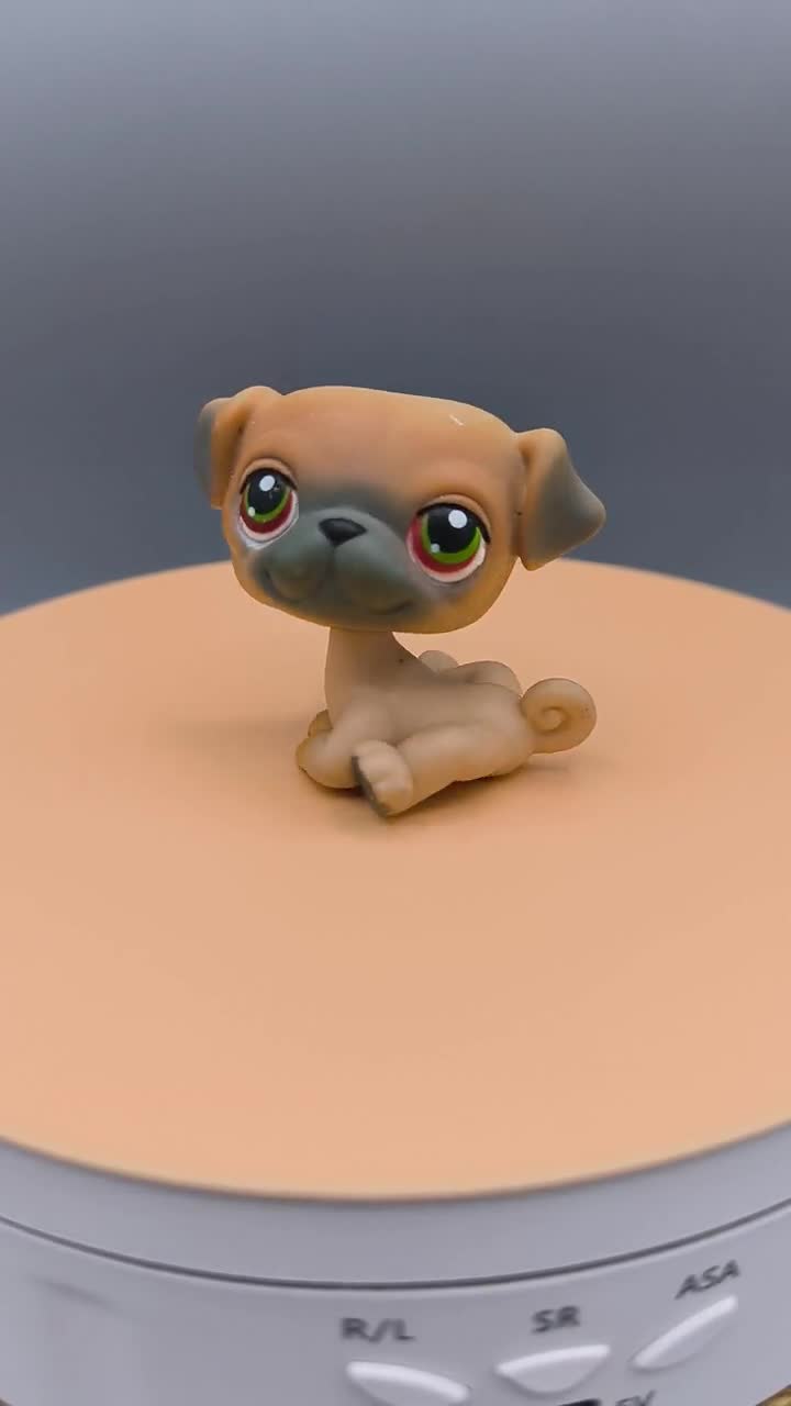 Littlest Pet Shop LPS Chihuahua 1 & Pug 2 Plus Accessories