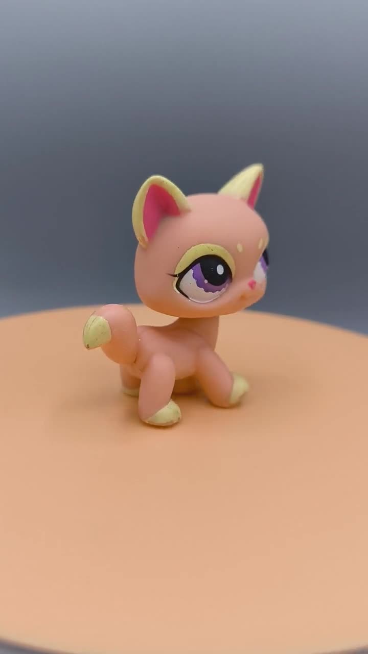 LITTLEST PET SHOP PETSHOP LPS #1337 HASBRO CHAT CHATON KITTEN BEIGE NOEUD MAUVE