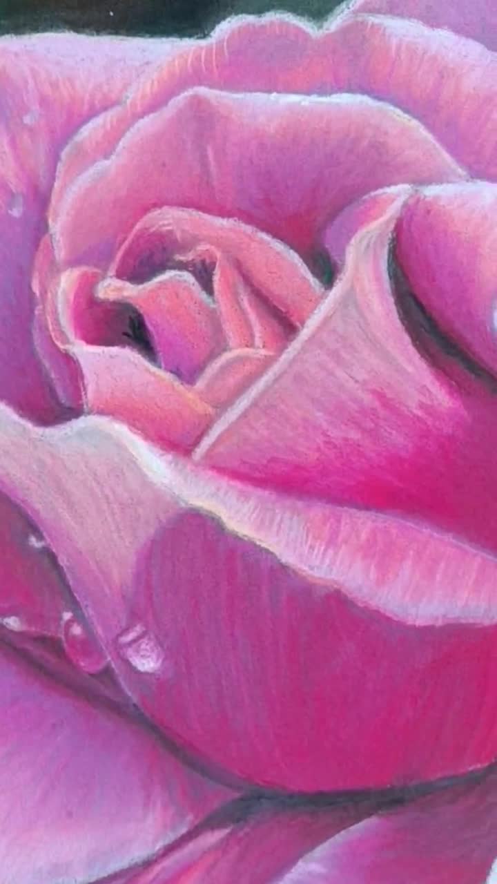 Pink Rose Original Pastel Painting Floral Wall Art Romantic
